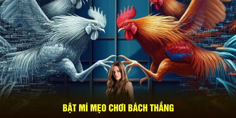 Bật mí mẹo chơi bách thắng