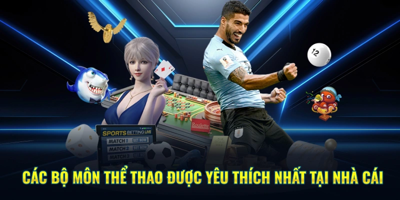 Các loại hình thể thao được yêu thích nhất 