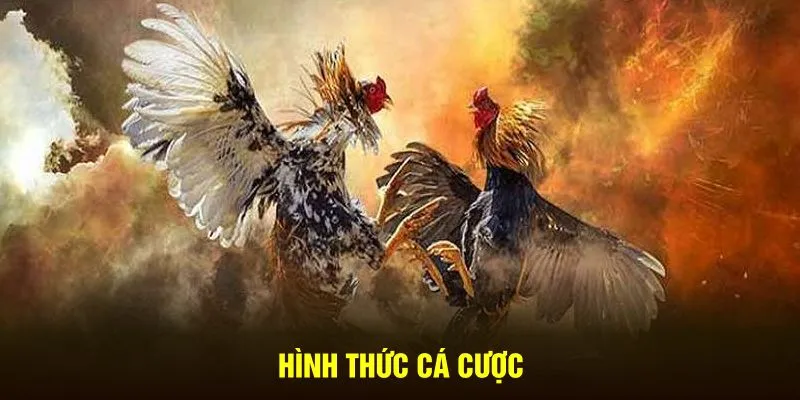 Hình thức cá cược 