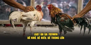 Luật đá gà 789win