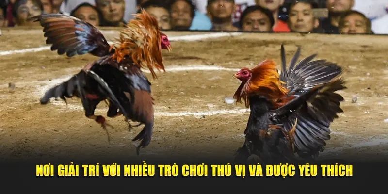 Nơi giải trí với nhiều trò chơi thú vị và được yêu thích